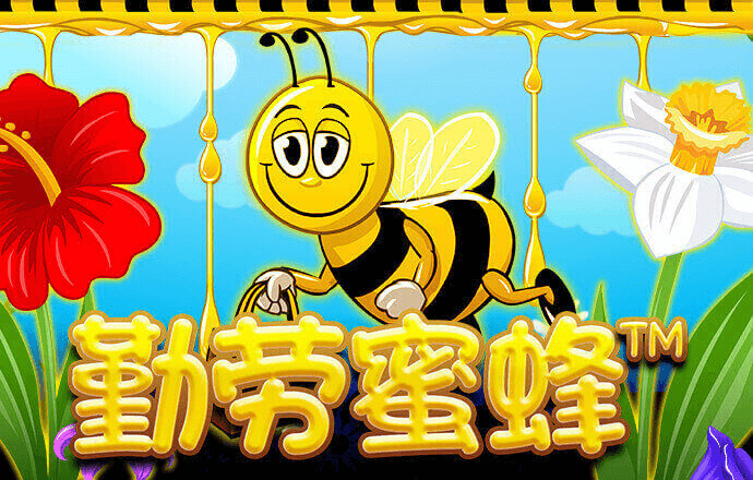 bet356体育